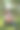 夏天，一对年轻的夫妇在公园的草地上，一个男孩为一个女孩弹吉他图片下载
