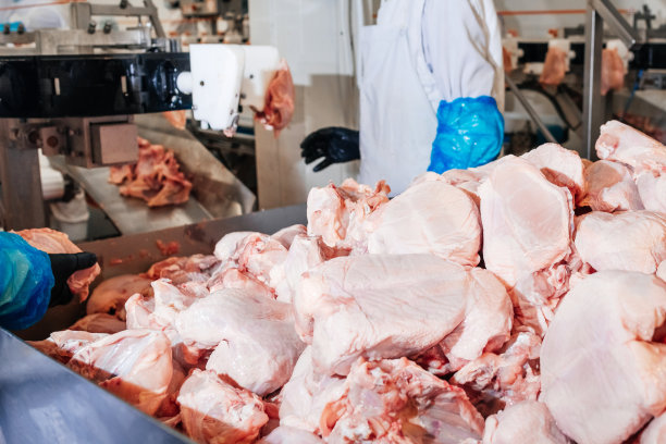 生产线用于生产带包装和切割的肉类。肉类工厂的工业设备。肉类加工厂。肉类生产线。图片下载