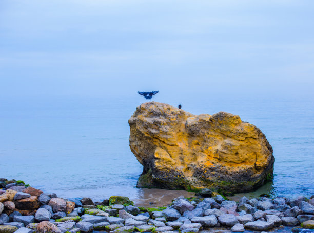 一只鸽子从碧海前的砂岩上飞起，在蓝色的雾霭中与天空融为一体。极简主义的照片与文本的自由复制空间图片下载