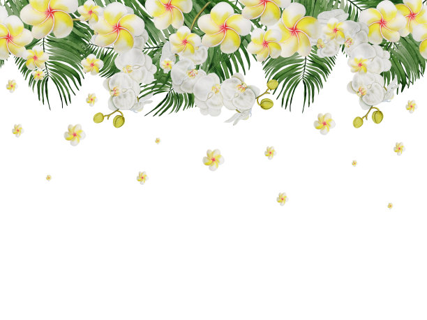 手绘热带植物的花朵和叶子。无缝线水平模式与水彩异国情调的绿色热带森林树叶和白色兰花，鸡蛋花在白色的背景。图片下载