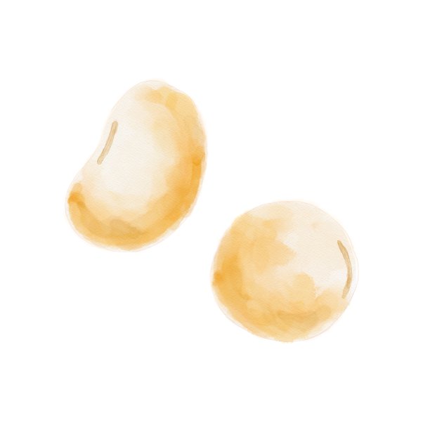 简单的大豆插画，数字水彩画。图片下载