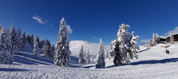 冬天的童话图片下载