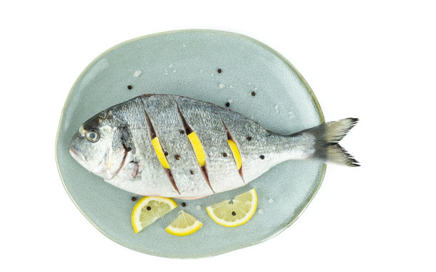 黄aurata。白底柠檬海鲷。生鱼。前视图。图片下载