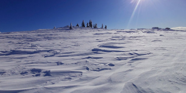 冬天的童话图片下载