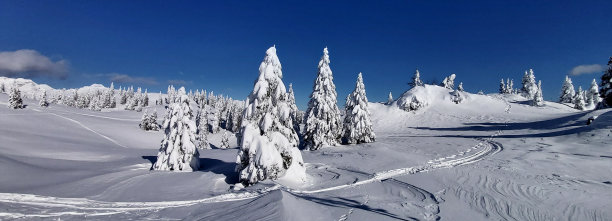 冬天的童话图片下载