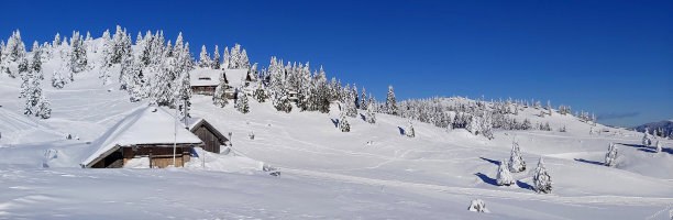 冬天的童话图片下载