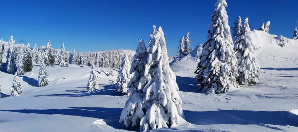 冬天的童话图片下载