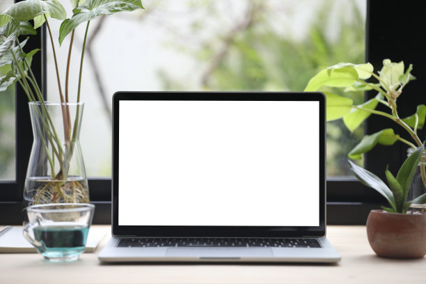 笔记本电脑和蝴蝶豌豆花茶和笔记本与花盆在木桌上图片下载