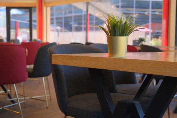 咖啡馆概念，小花，绿色植物在木制的桌子上图片下载