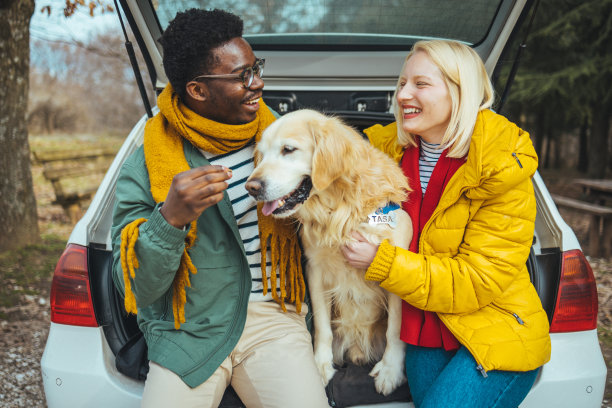 一对夫妇带着他们的狗狗公路旅行的照片。图片下载