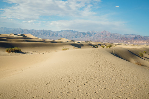 牧豆树平坦的沙丘，山脉，多云的天空，死亡谷国家公园，加利福尼亚图片下载