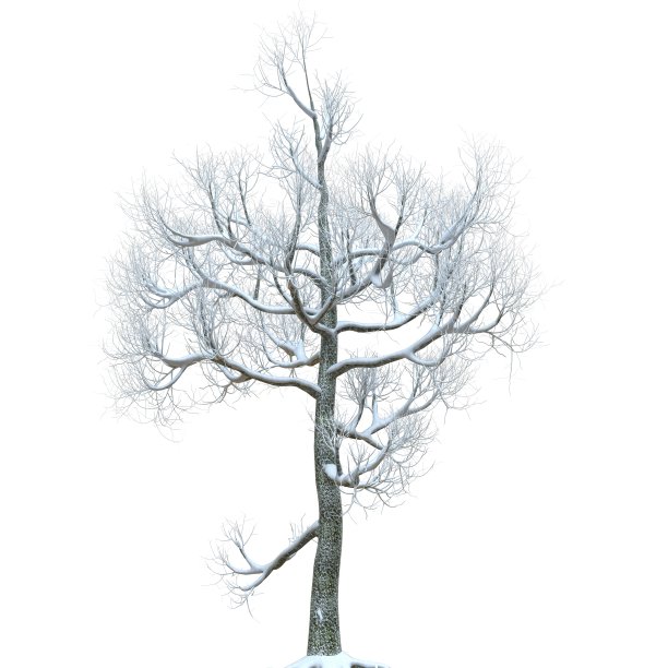 冬天的树在雪孤立在白色背景3d插图图片下载