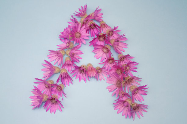 背景上有一排花的字母图片下载