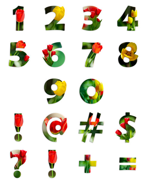 装饰数字与水彩花图片下载