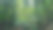 深热带丛林景观墙纸中美洲的观点。图片下载