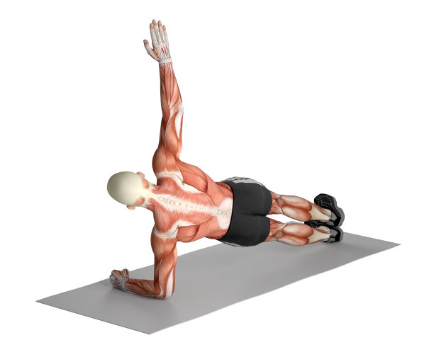 插图3D一个健康的人，做侧板运动。图片下载