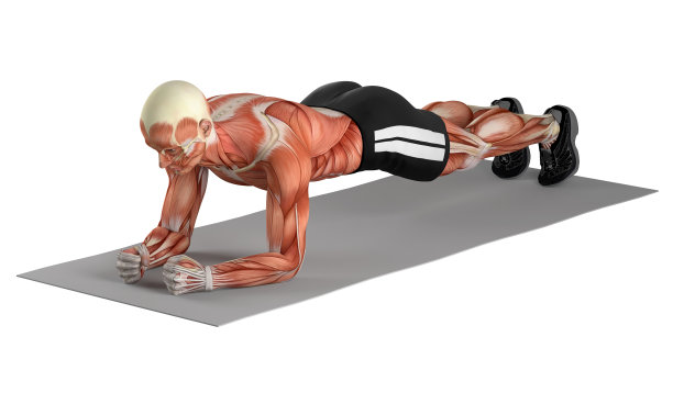 健身男，做平板支撑图片下载