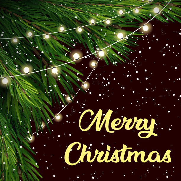 圣诞树枝。圣诞快乐。雪花,花环。图片下载