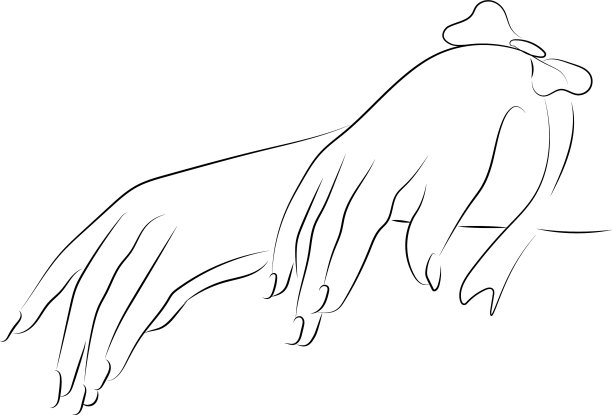 女性用手鞠躬。女人的手矢量插图。黑色的轮廓。女性手绘矢量图片下载