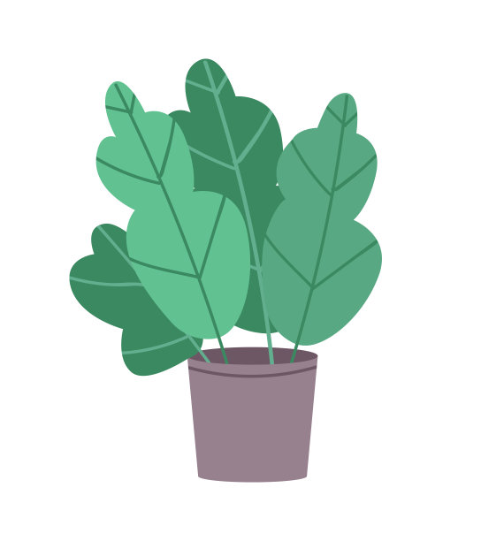 绿色蕨类半平面颜色矢量对象图片下载