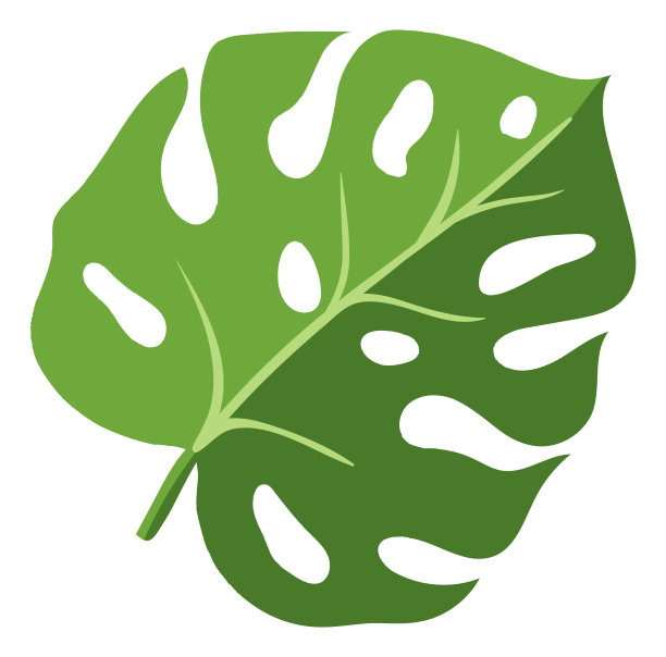 异国情调的热带植物叶子。绿色的夏天树叶图片下载