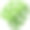 异国情调的热带植物叶子。绿色的夏天树叶图片下载
