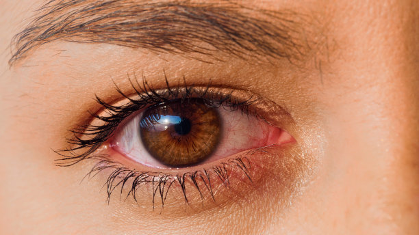 极端特写明亮的棕色眼睛。美丽的女性的脸图片下载