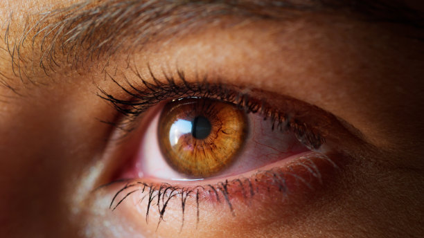 极端特写明亮的棕色眼睛。美丽的女性的脸图片下载