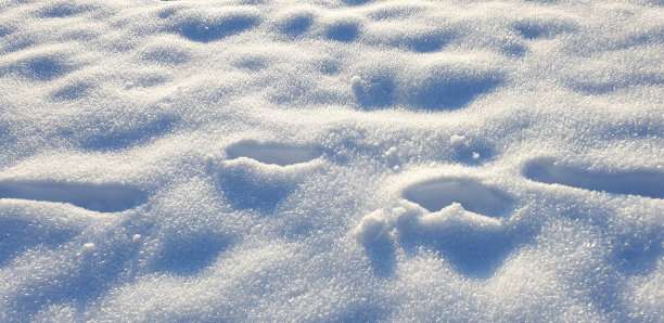 新鲜的，冻结的完整框架的雪和深深的脚印图片下载
