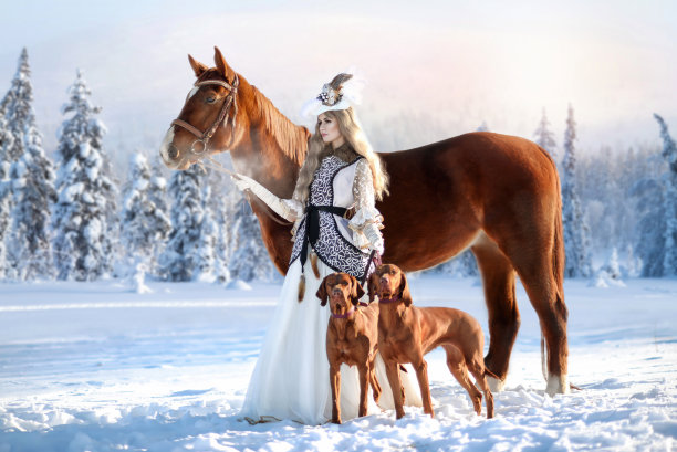 一个美丽的女孩穿着古装骑马，带着一匹马和两只狗在冬天的森林里骑马。皇家狩猎。艺术照片。图片下载
