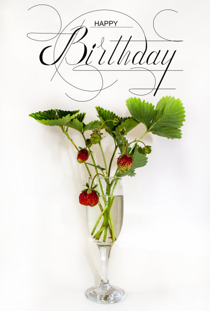 明信片，互联网横幅，平躺着生日祝福，与题词-生日快乐图片下载