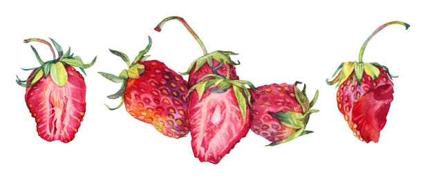 设置水彩草莓与绿色叶子孤立在白色背景上。手工绘制的夏季浆果切片厨房食品。菜单上的红色水果甜点。剪贴画贴纸，食谱，卡片图片下载