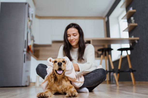 照顾狗狗和与狗狗玩耍的愉快照片图片下载