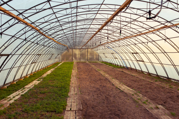 复古复古处理褪色的颜色，阳光明媚的日落农业温室农场棕色的土地，年轻的绿色植物发芽在春天几何透视照片。美丽的光图片下载