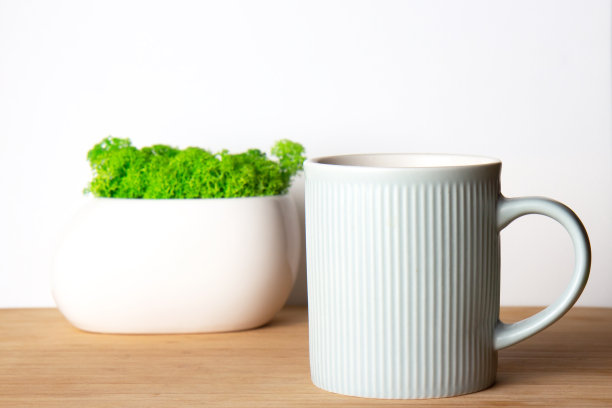 美丽的白色陶瓷花盆与明亮的绿色装饰苔藓和蓝色陶瓷杯在白色的背景图片下载