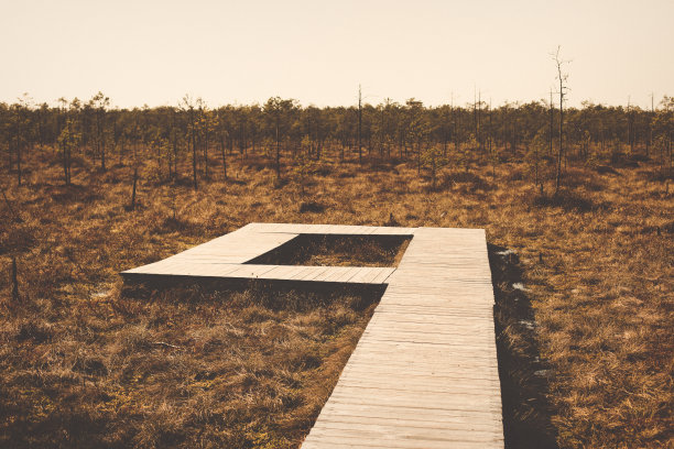 空的悲伤路径沼泽森林国家公园在棕黄的秋天秋天的颜色景观背景墙纸。照片处理复古复古褪色潮人风格。出奇地场景视图图片下载