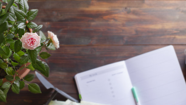 粉红色迷你玫瑰衬着模糊的木桌图片下载