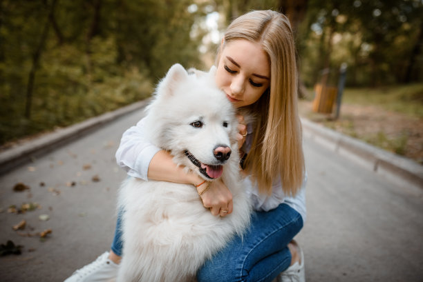 在公园里，一名身穿白衬衫的女子抱着她的白色小狗萨摩耶。图片下载