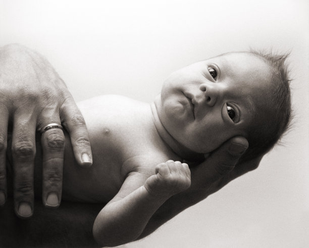 爸爸的手图片下载