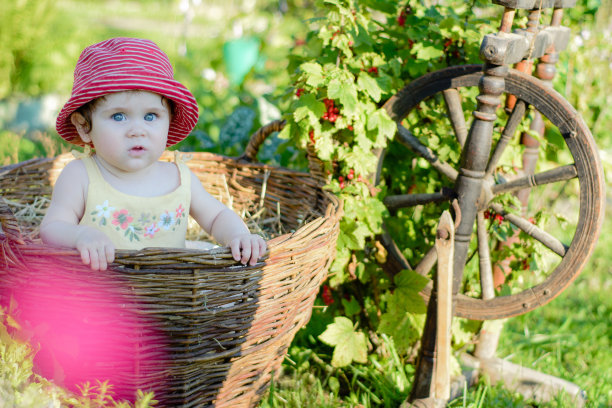一个可爱的小女孩坐在花园里篮子里的干草上图片下载
