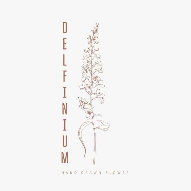 delfuunium花标志或标志模板。复古花卉插图与经典的排版。女性的标志。现代标志模板花店，摄影师，时尚博主，设计工作室。图片下载