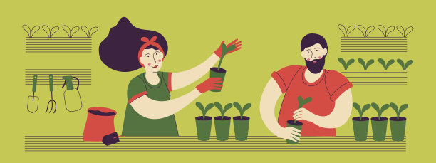 男人和女人在家里或阳台上种植植物，在花盆里种植庄稼或蔬菜。图片下载