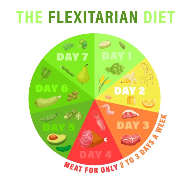 弹性素食者信息图,图。白色背景上的矢量插图。图片下载