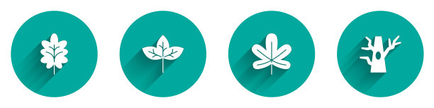 Set Leaf, Chestnut Leaf和Bare tree icon with long shadow。向量图片下载