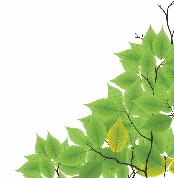 叶角框架-白色背景图片下载