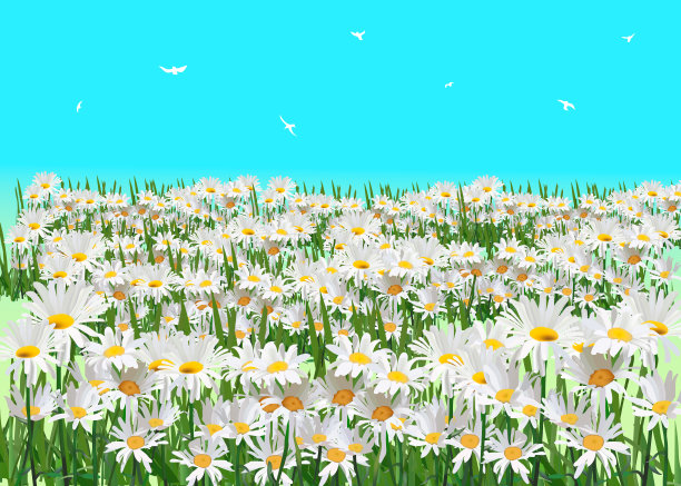 春天的背景是洋甘菊花，绿草，燕子和蓝天。图片下载