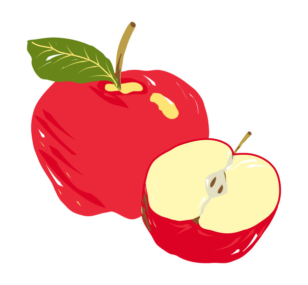 红苹果，有小枝和绿叶。旁边是半个苹果。苹果被切成两半，果核是黄色的。两个苹果的成分。矢量插图，卡通风格，用大笔画。向量图片下载