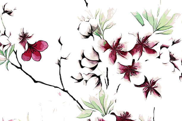 抽象玫瑰花牡丹花插图图片下载