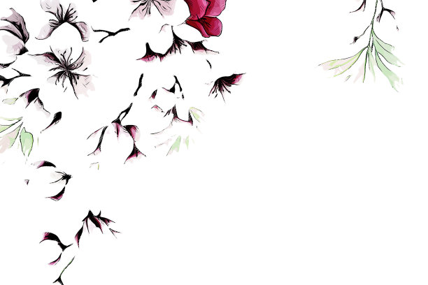 抽象玫瑰花牡丹花插图图片下载