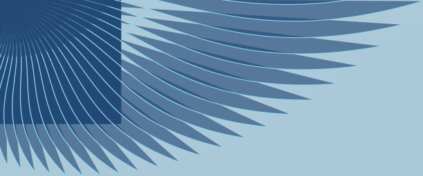 蓝色背景向量模板上的鸟翅膀。图片下载